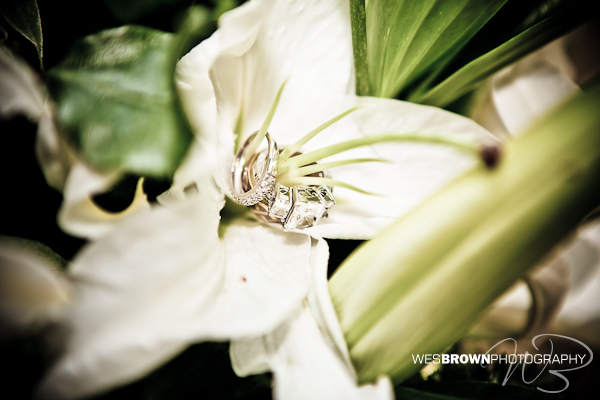 The Dillon Wedding by Wes Brown Photography