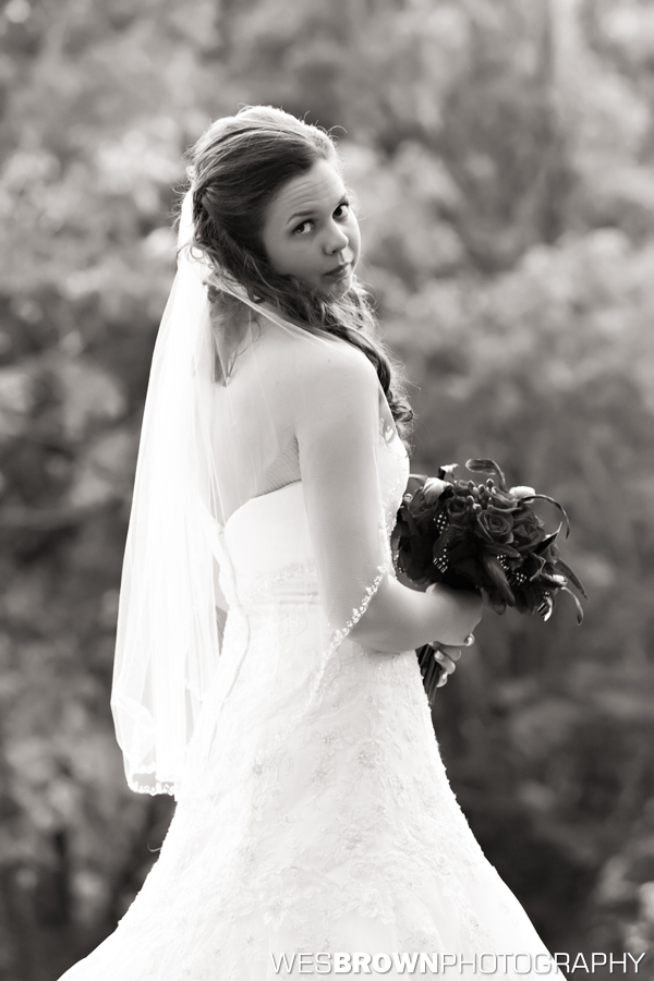 Bridal Portrait Session : Wedding by Kentucky Photographer Wes Brown