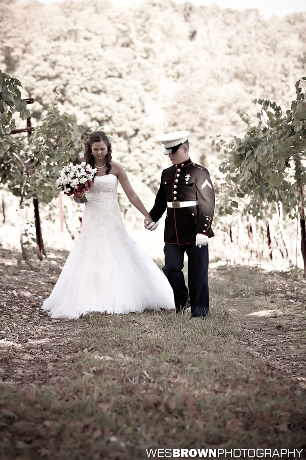 Taylor & Michael's Wedding at Cave Hill Vineyard : Wedding by Kentucky Photographer Wes Brown